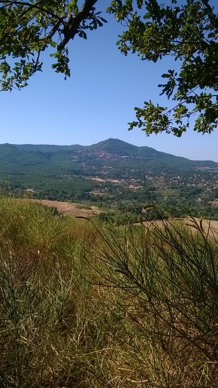 B&B Il Pantanello Rocca Di Papa Buitenkant foto