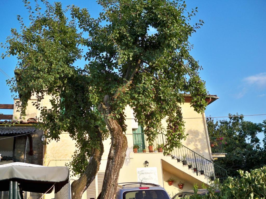 B&B Il Pantanello Rocca Di Papa Buitenkant foto